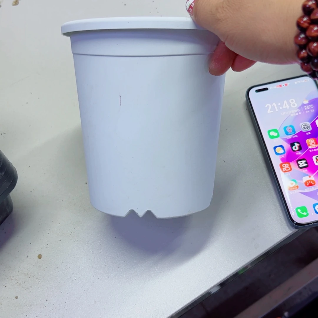 下101小白盆2个口径15高15无托盘20包邮