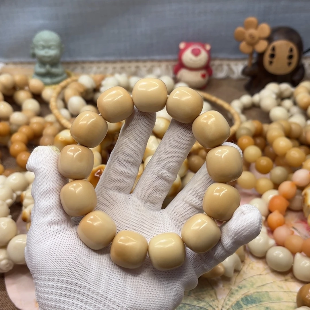 吊坠菩提根/象牙果20干磨牙果风化桶706