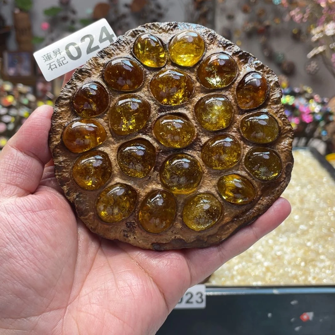 核桃木/黑胡桃（胡桃木）024