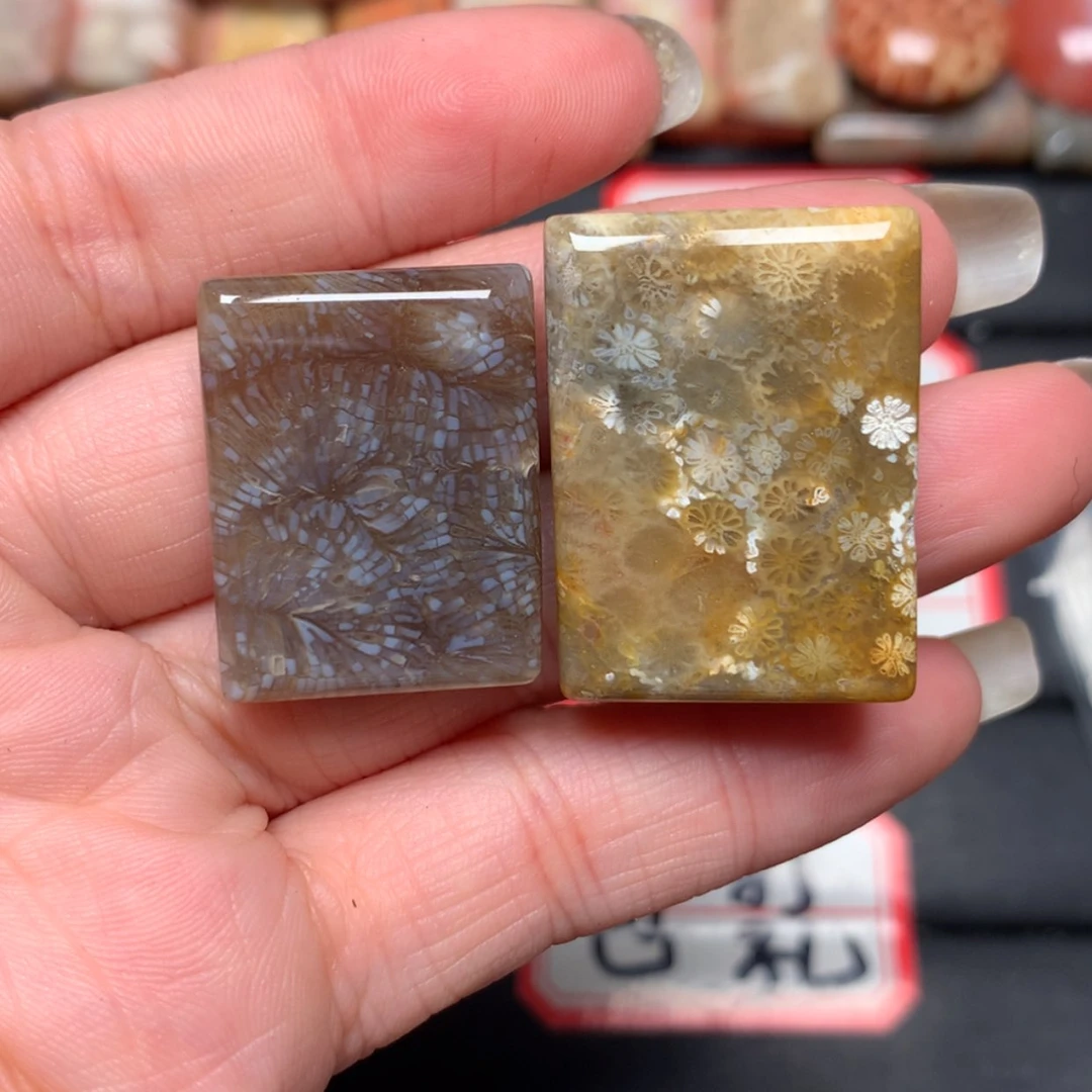 【闪购商品】未镶嵌颈饰硅化玉糯**滚
