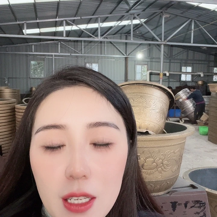 八60口径花盆四个
