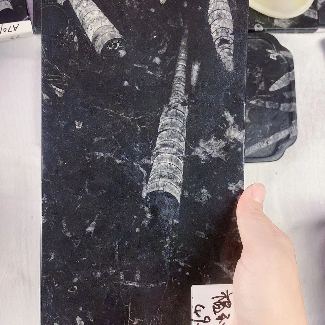 夜***月化石茶盘干泡台摆件
