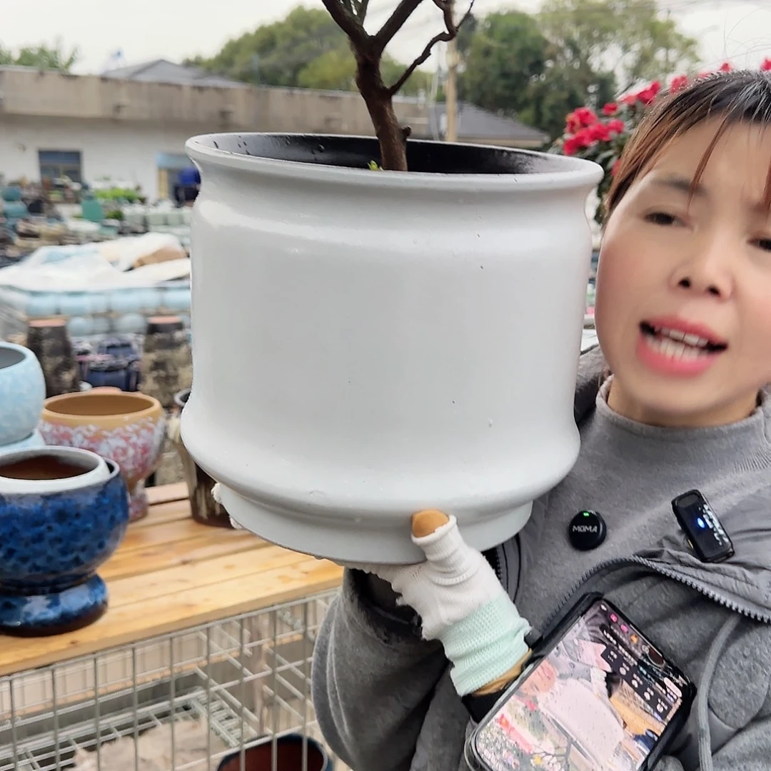 王嫂花盆直播1117-322高24口25