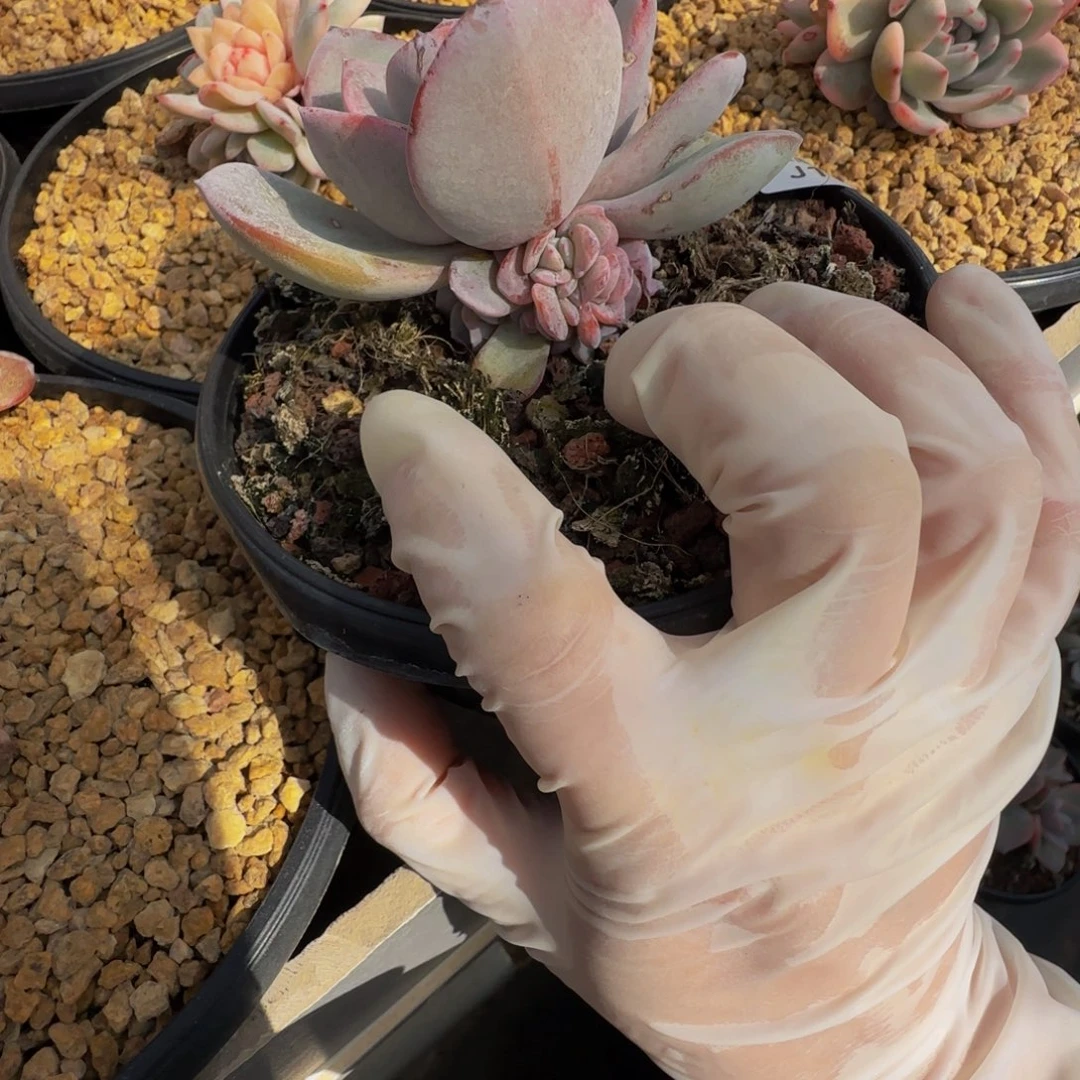 摸**孩j j j j j j j j j j j 18