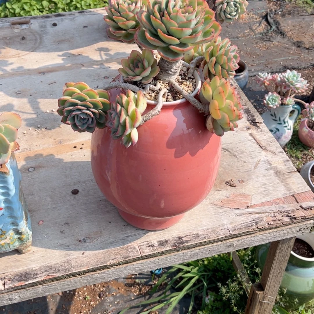 你在哪呢…你是？在哪啊亲