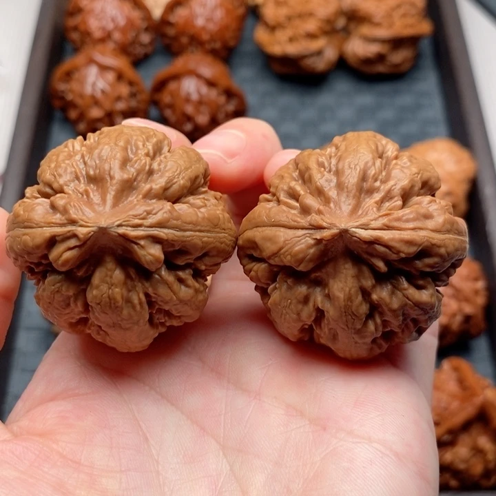 文玩核桃把件霸王龙全品