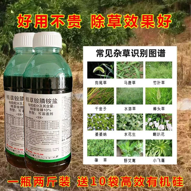精草铵膦铵盐果园园林除草剂牛筋草小飞蓬烂根死根恶性杂草一扫光