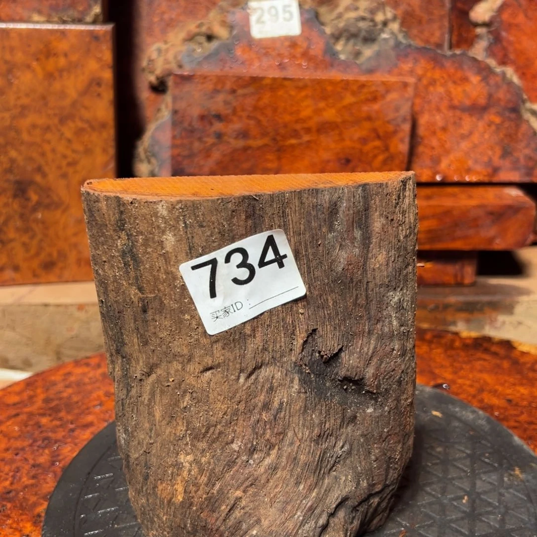 大果紫檀（缅甸花梨）