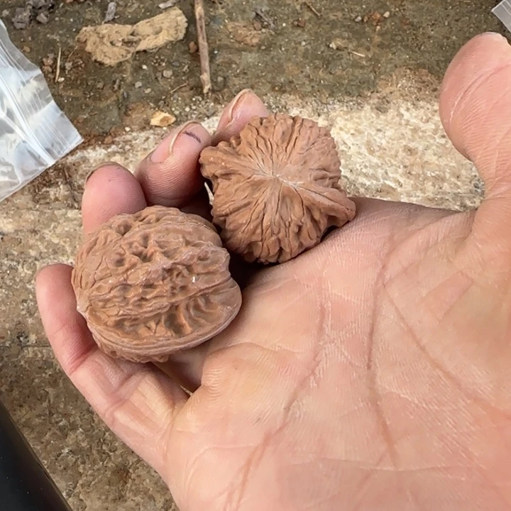 阿***l文玩核桃把件磨盘