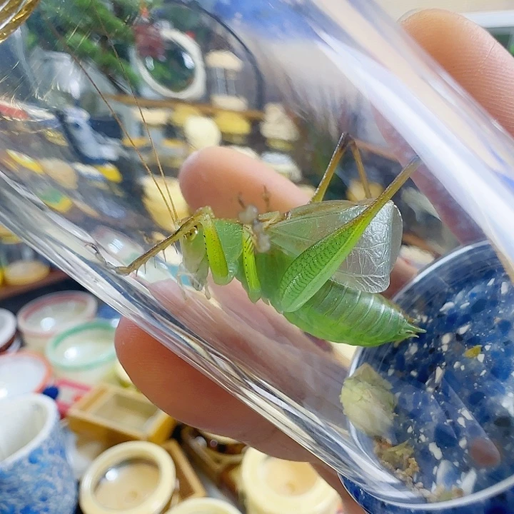 扎嘴随单一只啊啊啊啊啊