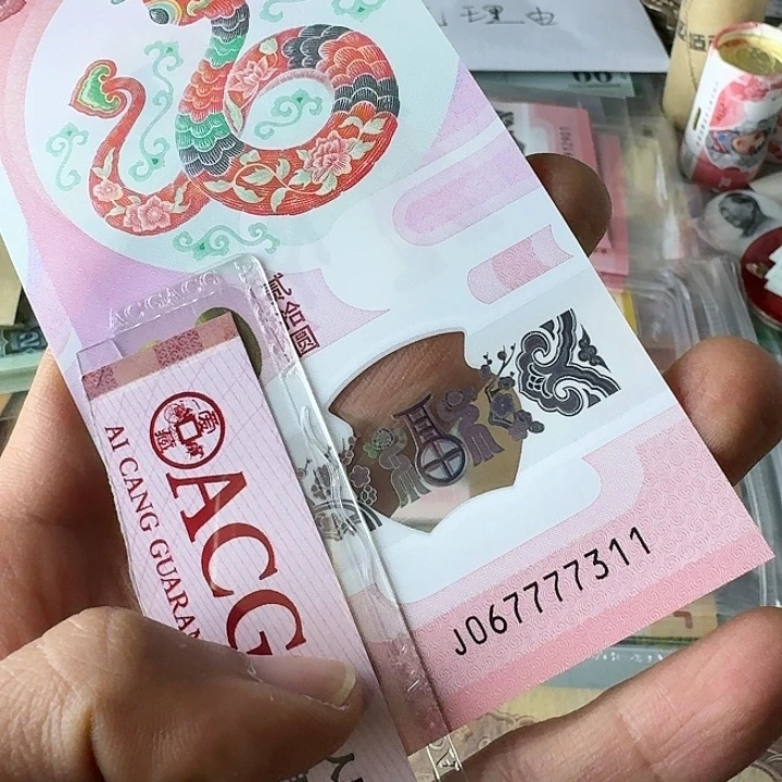 狮子身311………………全新