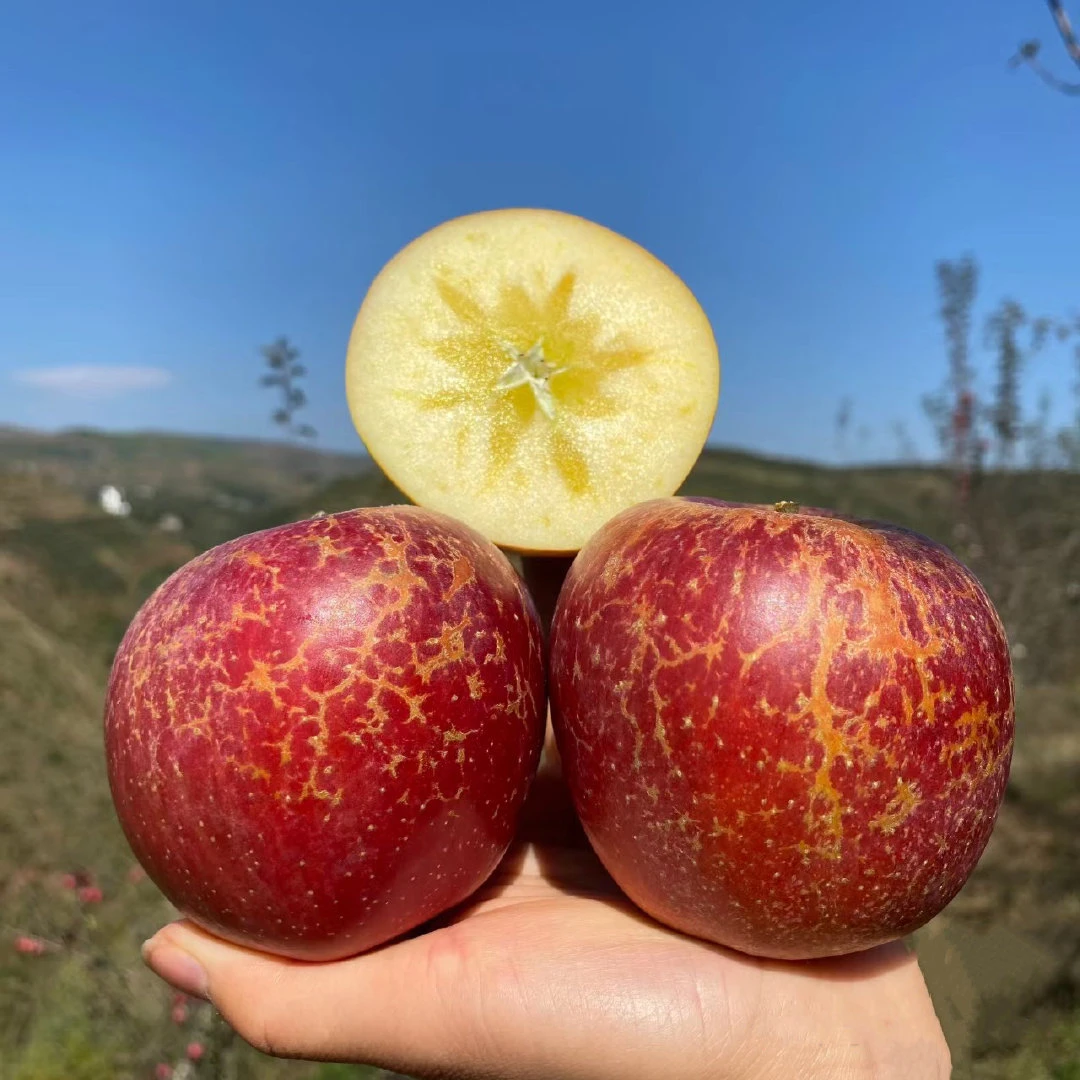 云南高山糖心丑苹果（糖心是温差导致糖分结晶的现象哦）