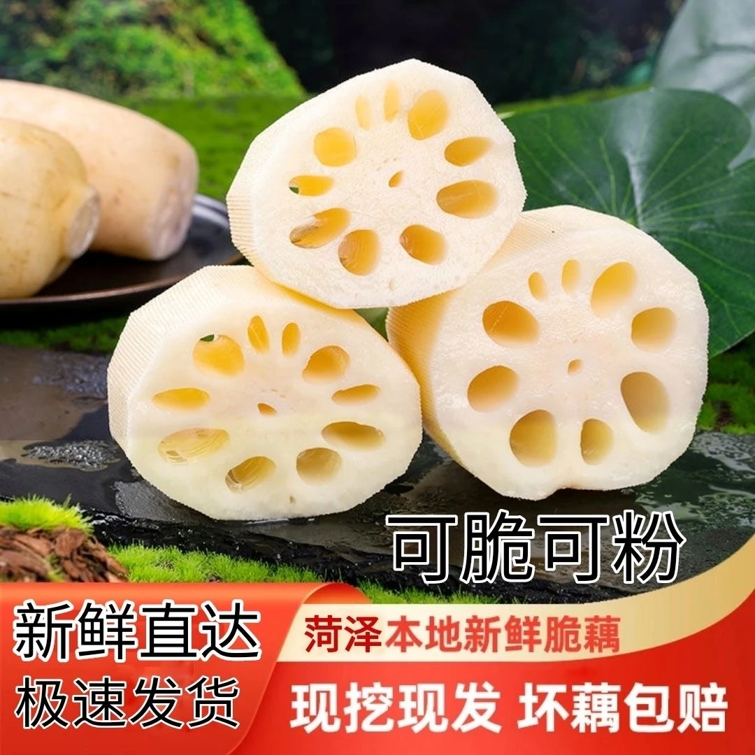 【不漂白不打药】莲藕新鲜现挖现发粉藕炖汤藕煲汤藕粉糯香甜