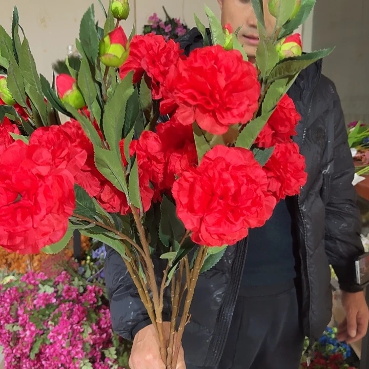 芍药牡丹红色4支装
