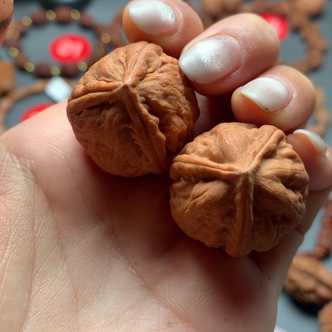 核桃26东北秋子三棱