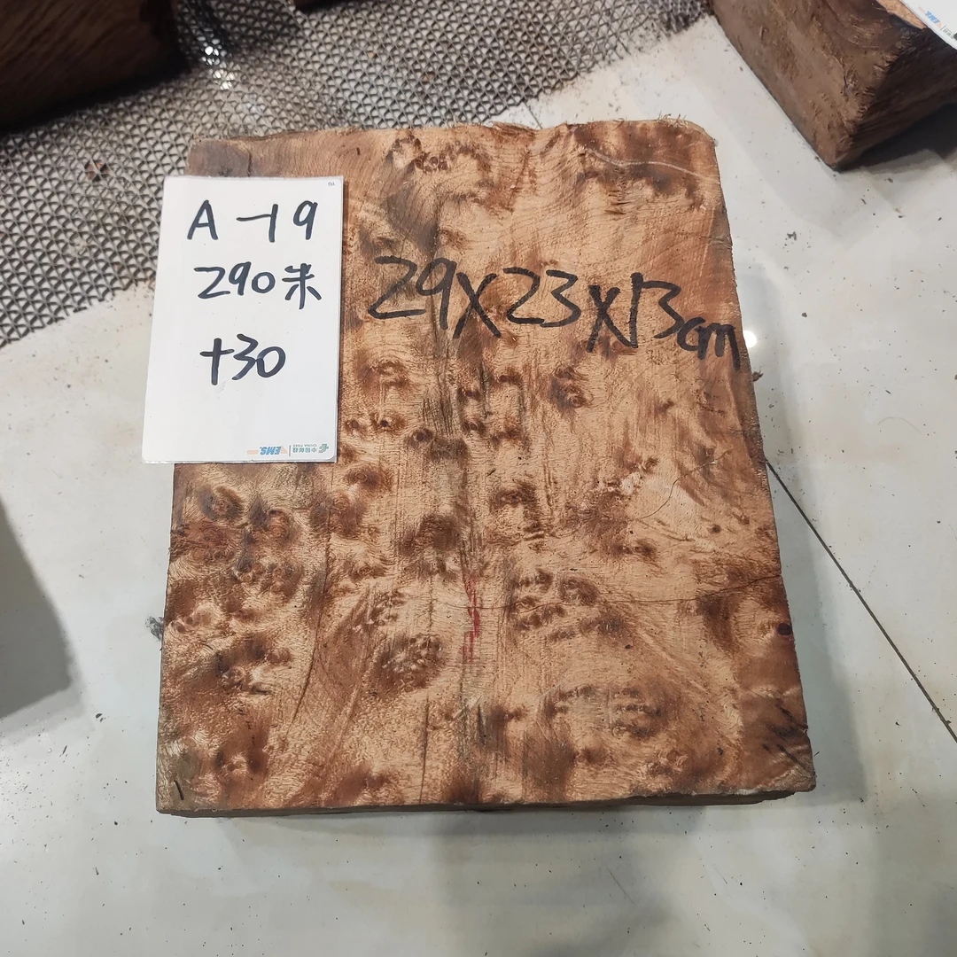 缅甸黄金樟树瘤料树瘤