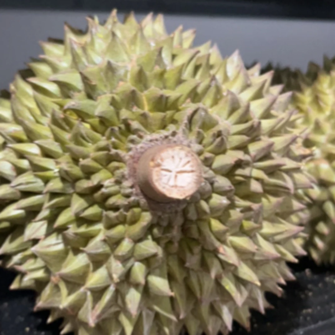 泰国树熟鲜榴莲长柄（核大3-8斤）猫山王泰国