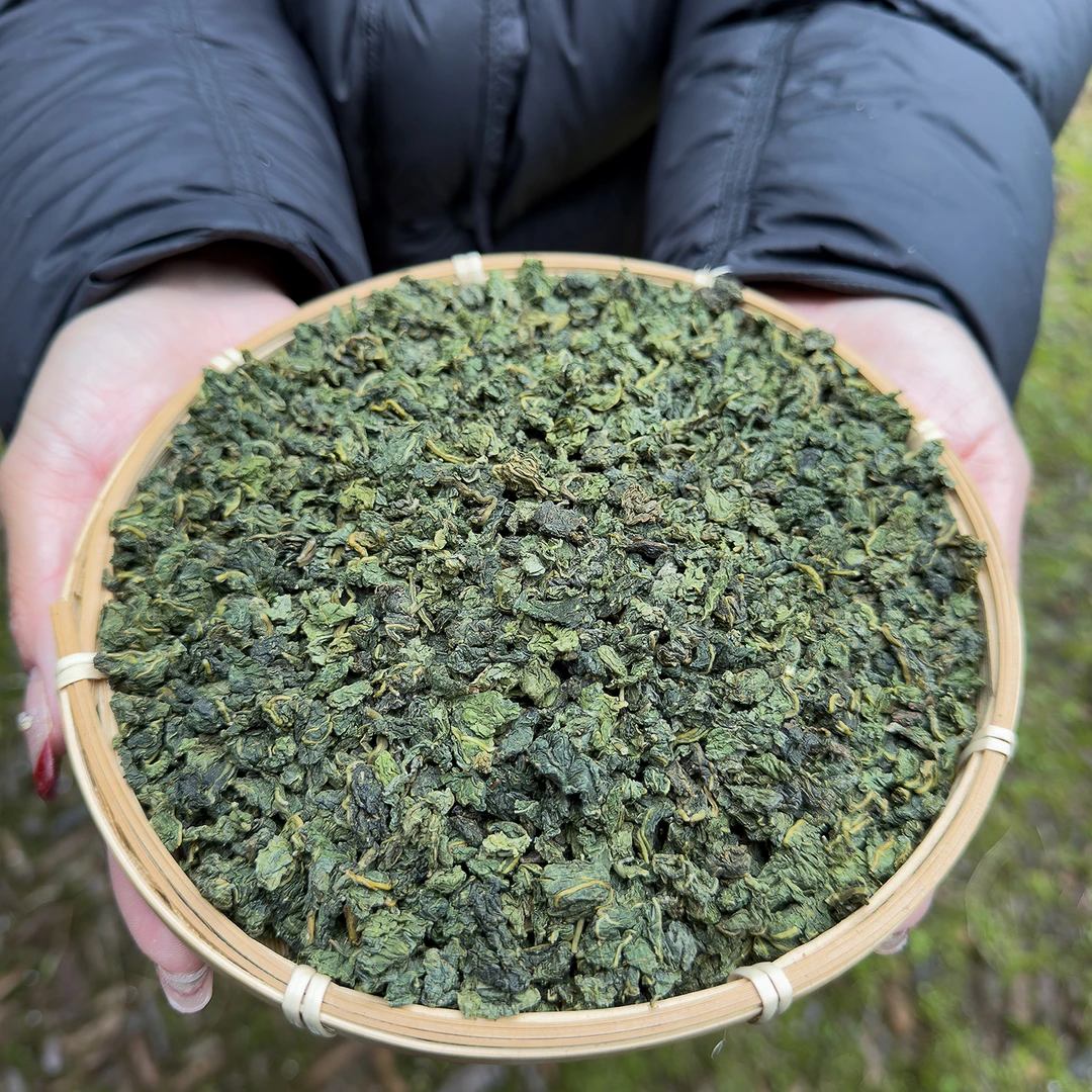 桑叶茶 高山 农家 土产