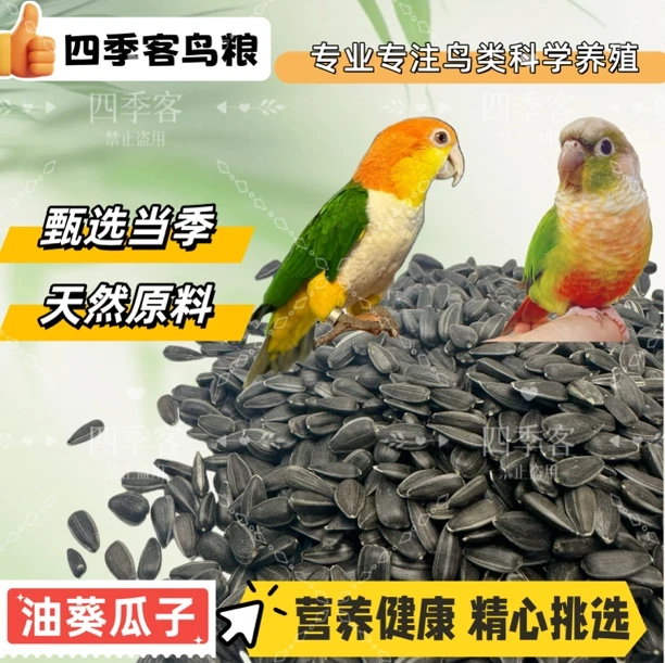 四季客鹦鹉油葵黑瓜子主粮零食当季新粮增羽增膘牡丹炫风小太阳