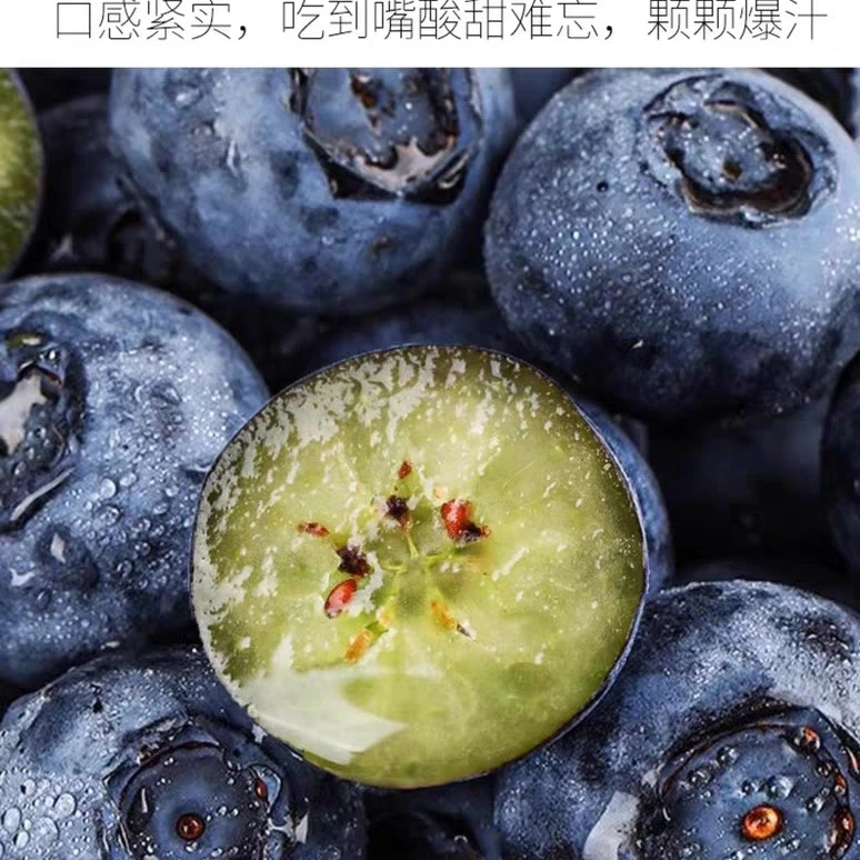 云南蓝莓丽江花香蓝莓500克(17mm-21mm)新鲜云南蓝莓云南省丽江市