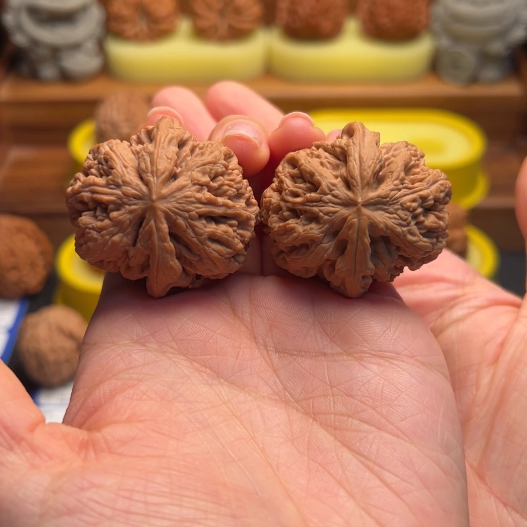 核桃04全品粗筋39尺