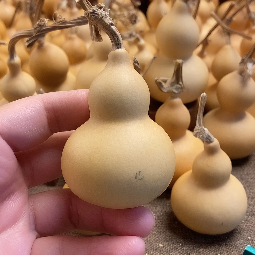 文玩葫芦 完美主义者 慎拍15