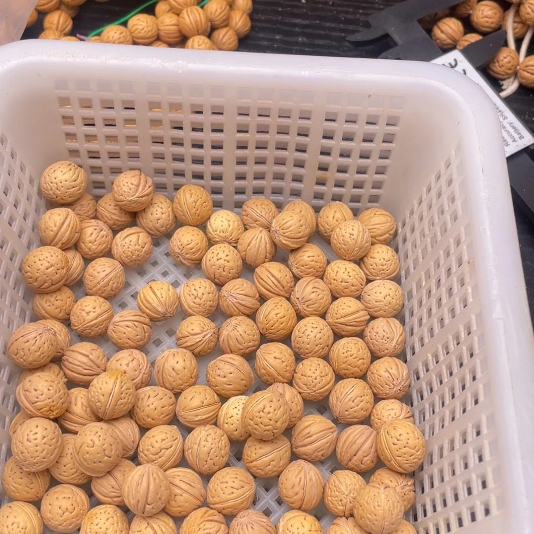 芝***。散籽批发小桃核70
