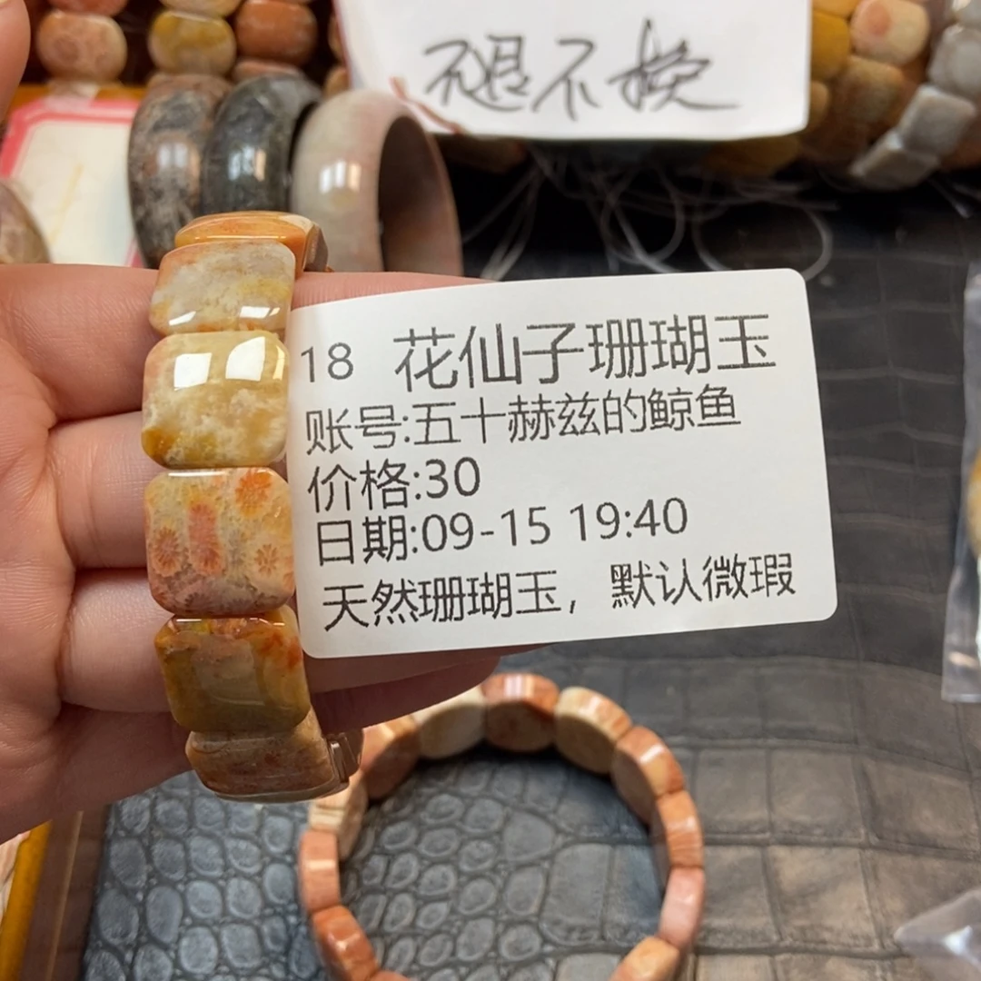 五***鱼未镶嵌硅化珊瑚（珊瑚玉）珠宝半成品18