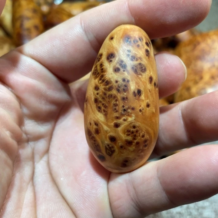 柏木（崖柏）其他把