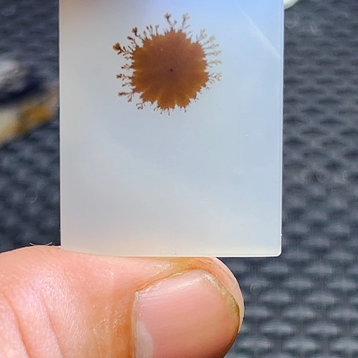 小***猫未镶嵌玛瑙/玉髓珠宝半成品
