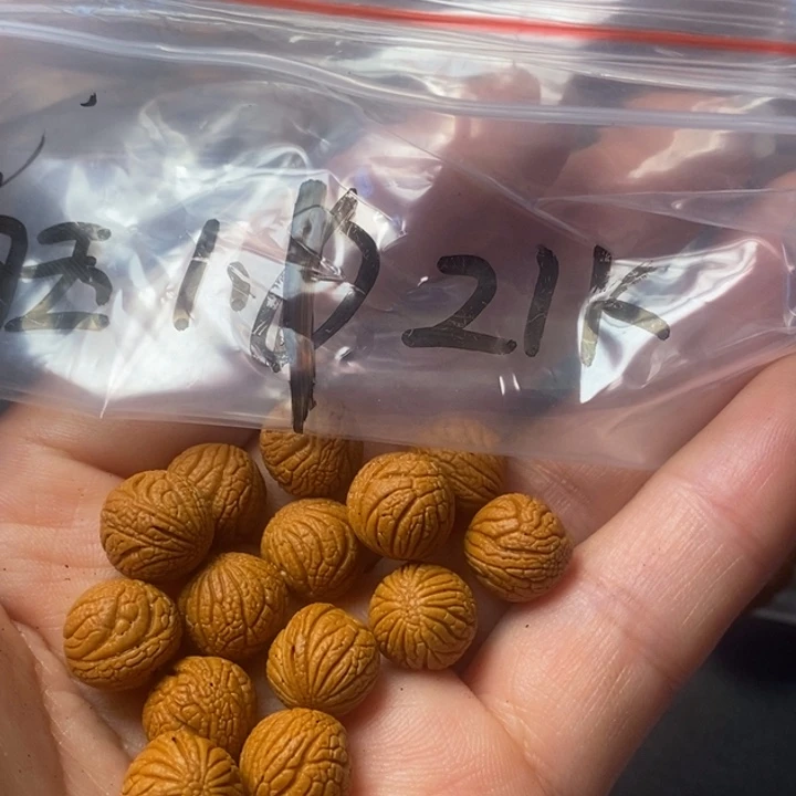 手串桃核秦岭野生龙纹桃核11尺寸