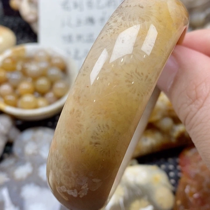 硅化珊瑚（珊瑚玉）颈饰未镶嵌56