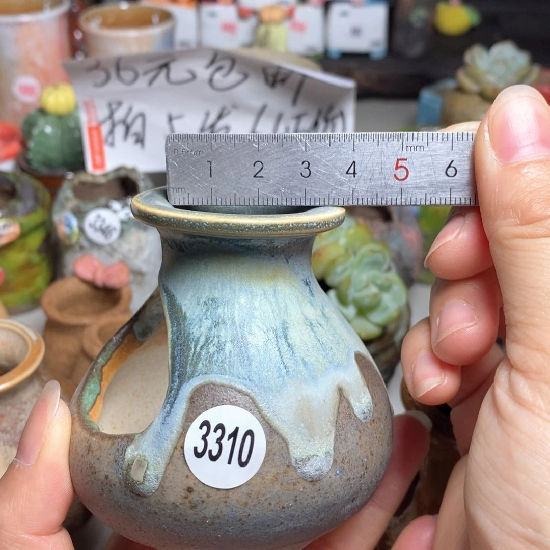 拍5送一个小礼物