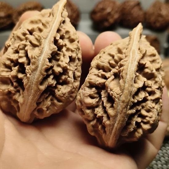 文玩核桃吊坠大楸核桃13号