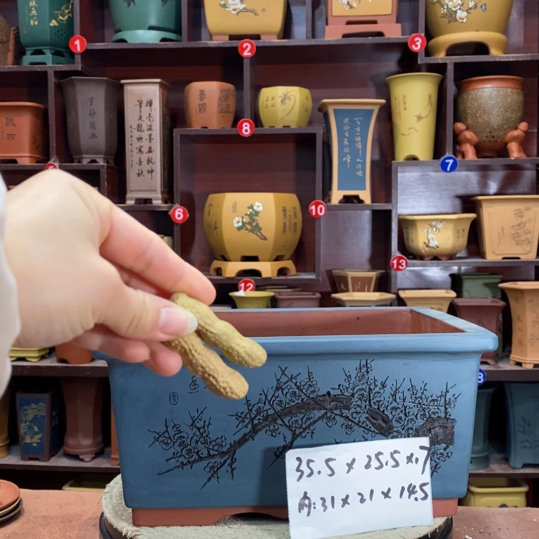 紫砂艺术紫砂花盆