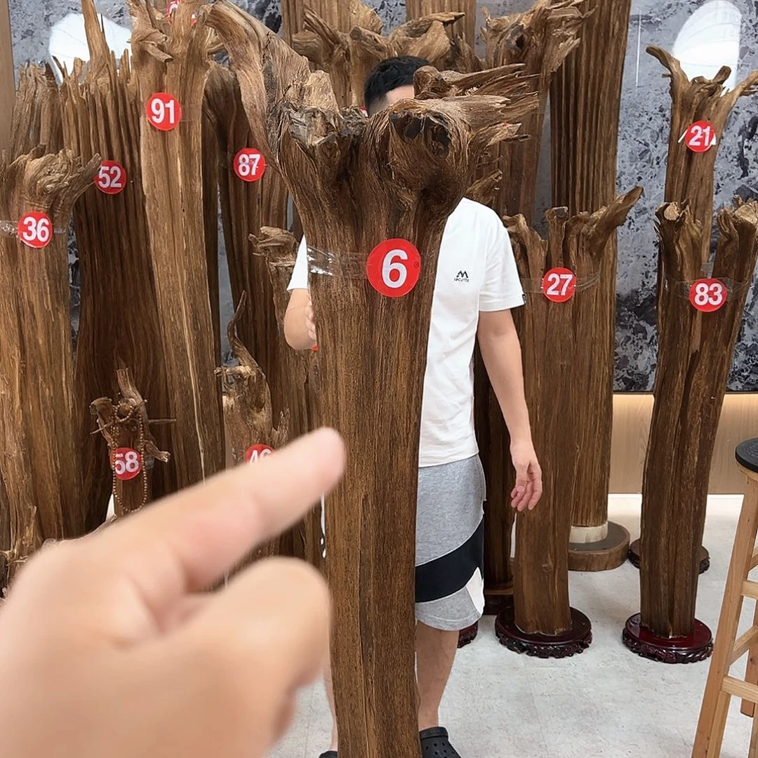 度***沉香沉香碎屑天然沉香