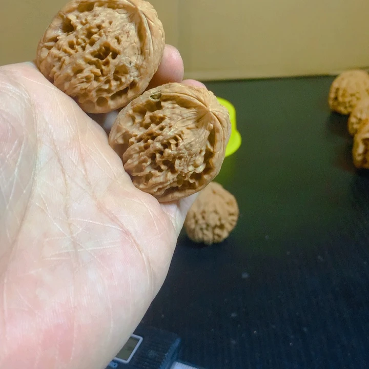 沧***士文玩核桃吊坠蛇头