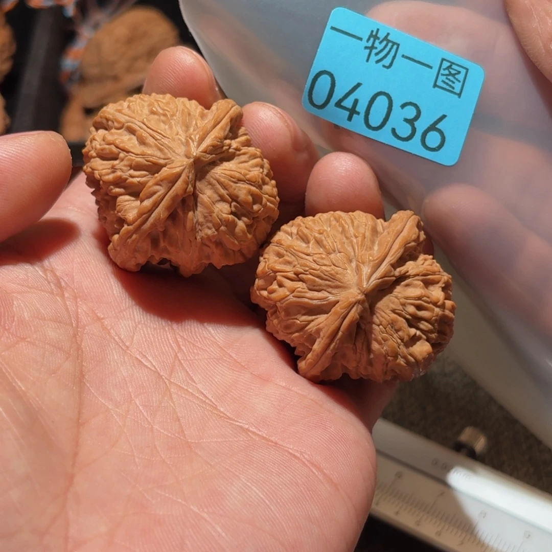 文玩核桃把件白狮子