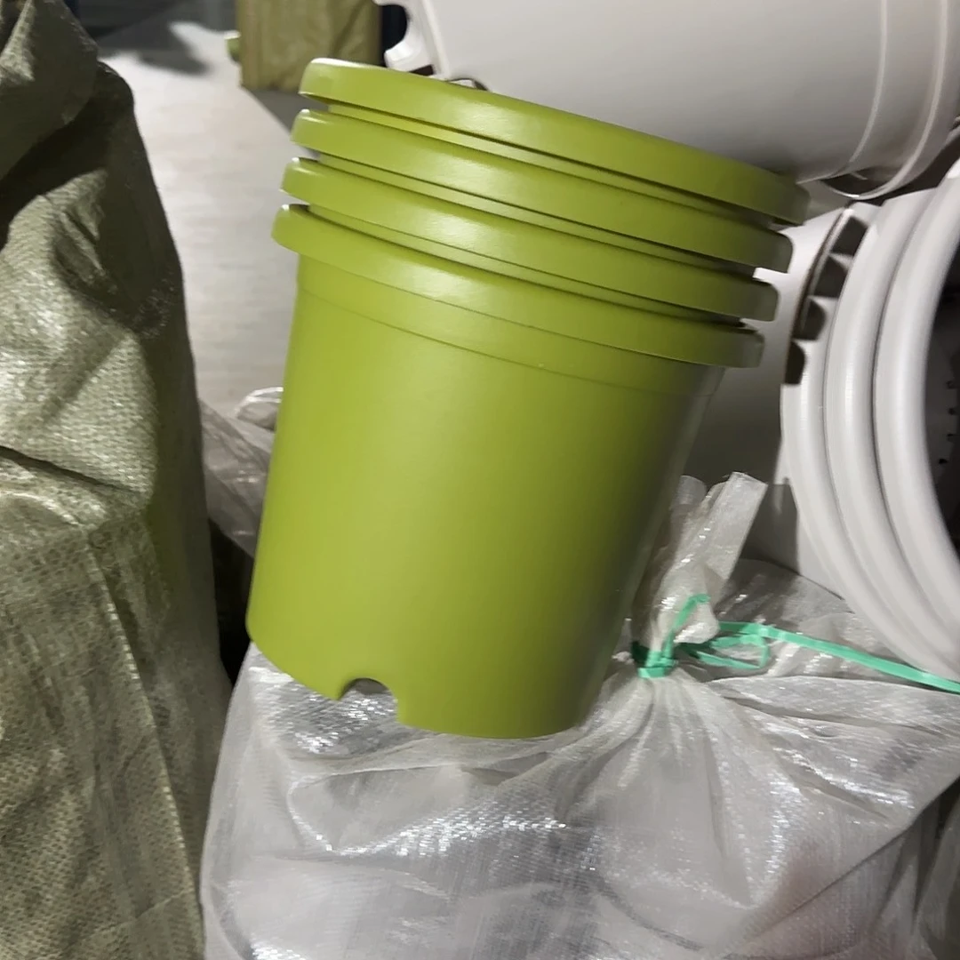 树脂四季4号带托8个果绿微瑕