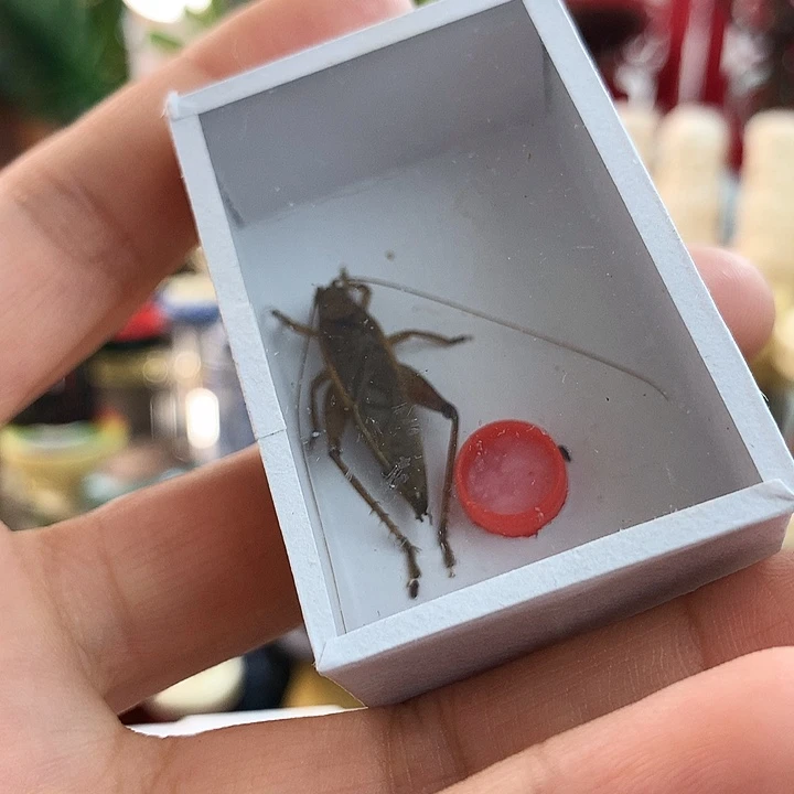 让*补差价一只黄金中哈哈哈哈哈哈