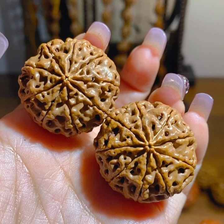 野生多瓣大金刚把件349