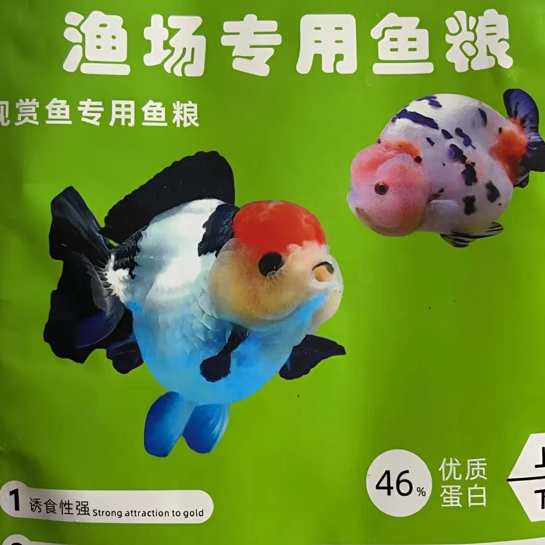 通用型高蛋白上浮金鱼饲料观赏鱼专用鱼食