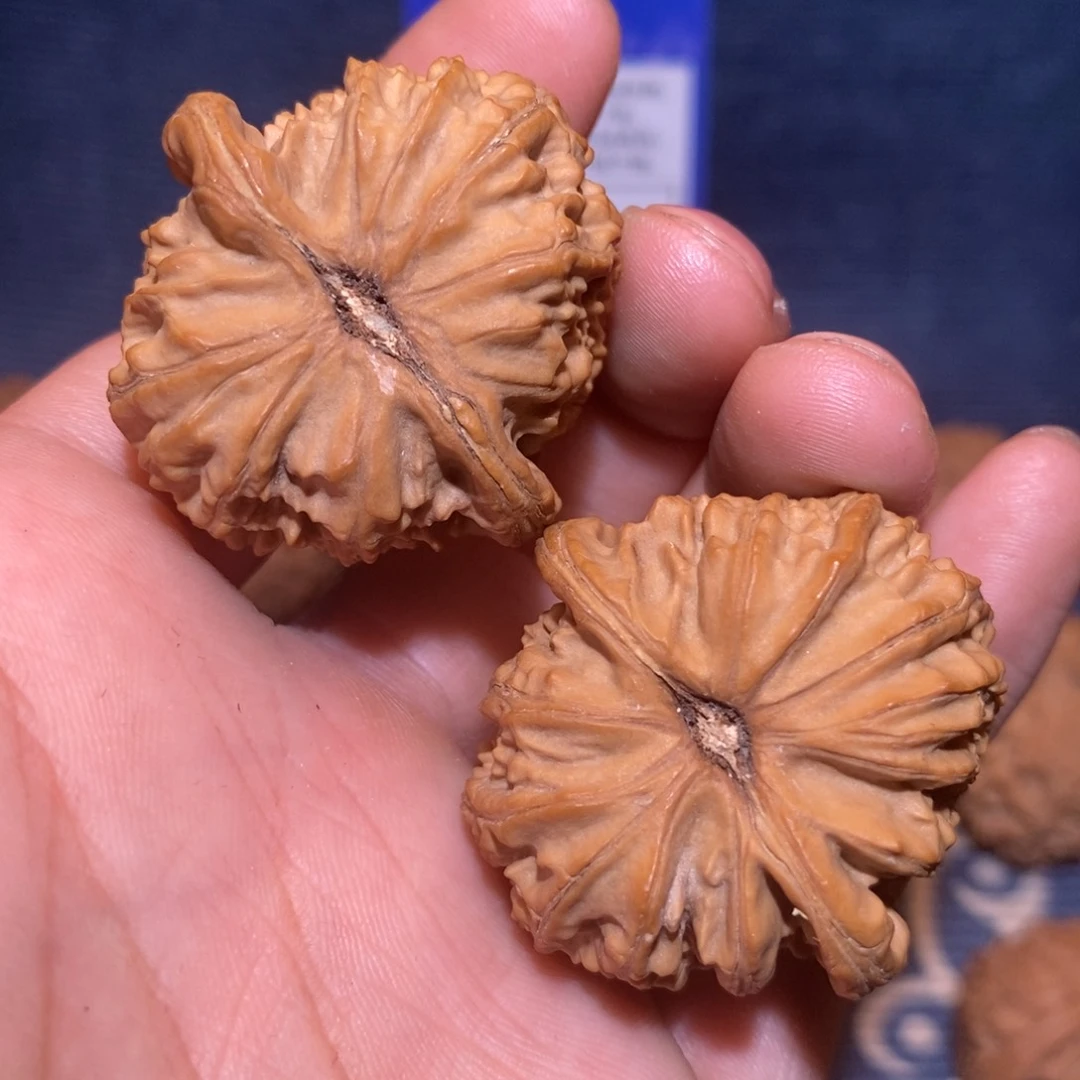 37尺 全品无修白茬 三角白