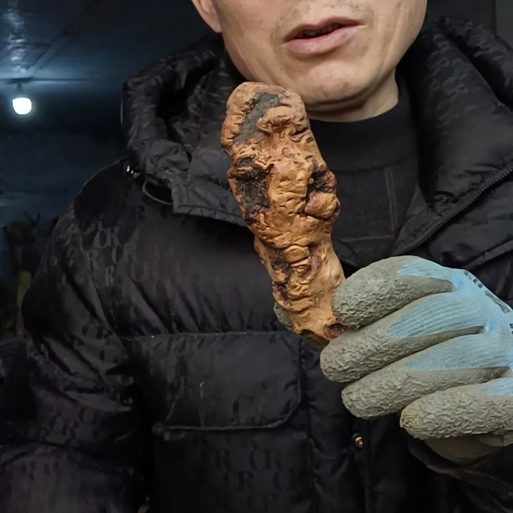 稳定木浮****梦贵州檬子木   铁马鞭   根艺  半成品