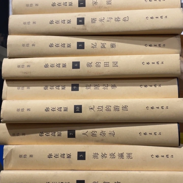你在高原精装九册合售