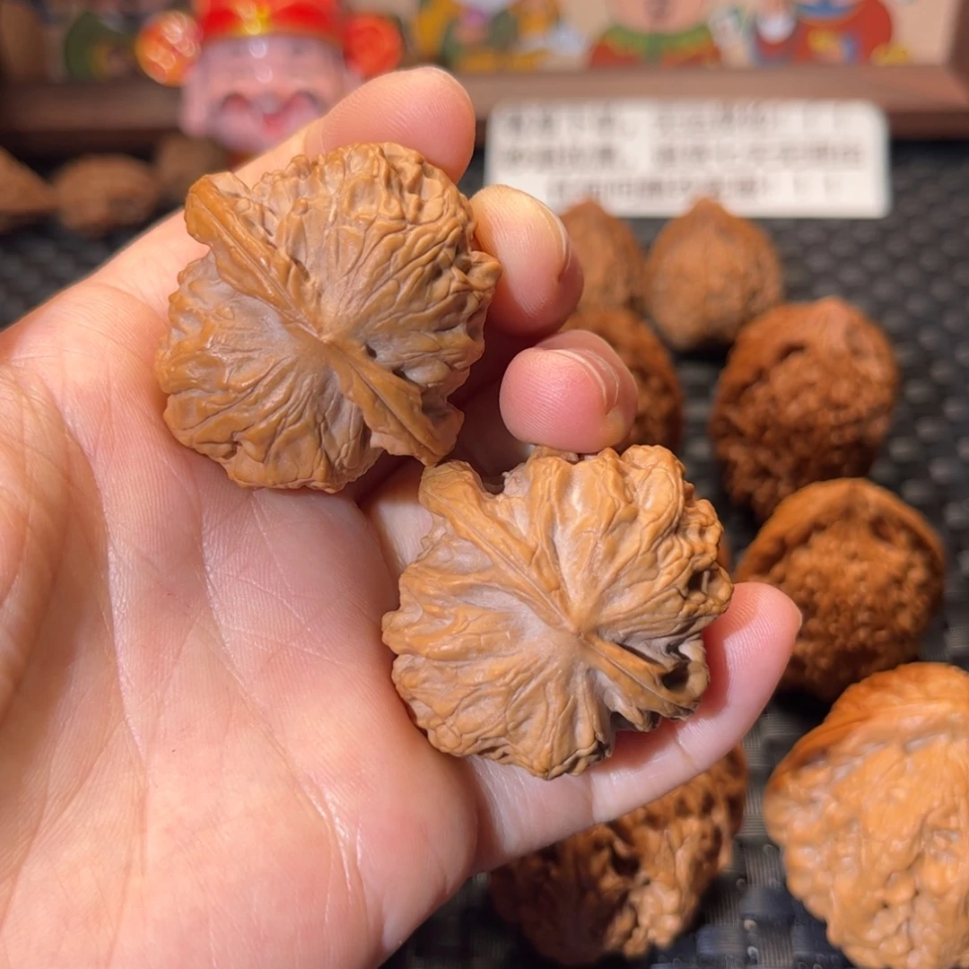 核桃文玩野狼37尺