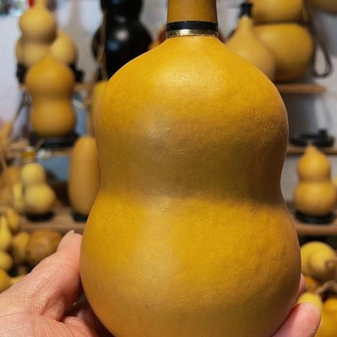 精品厚皮小胖墩葫芦