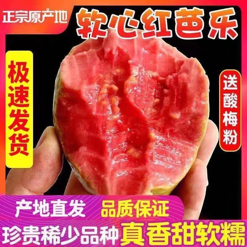 红心芭乐番石榴8粒装顺丰包邮，减脂，小糖人可以吃，福建省