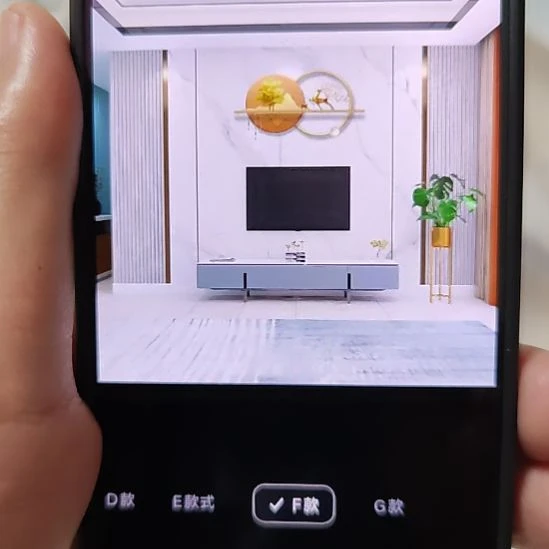 赵***涛客厅电视墙壁画壁布