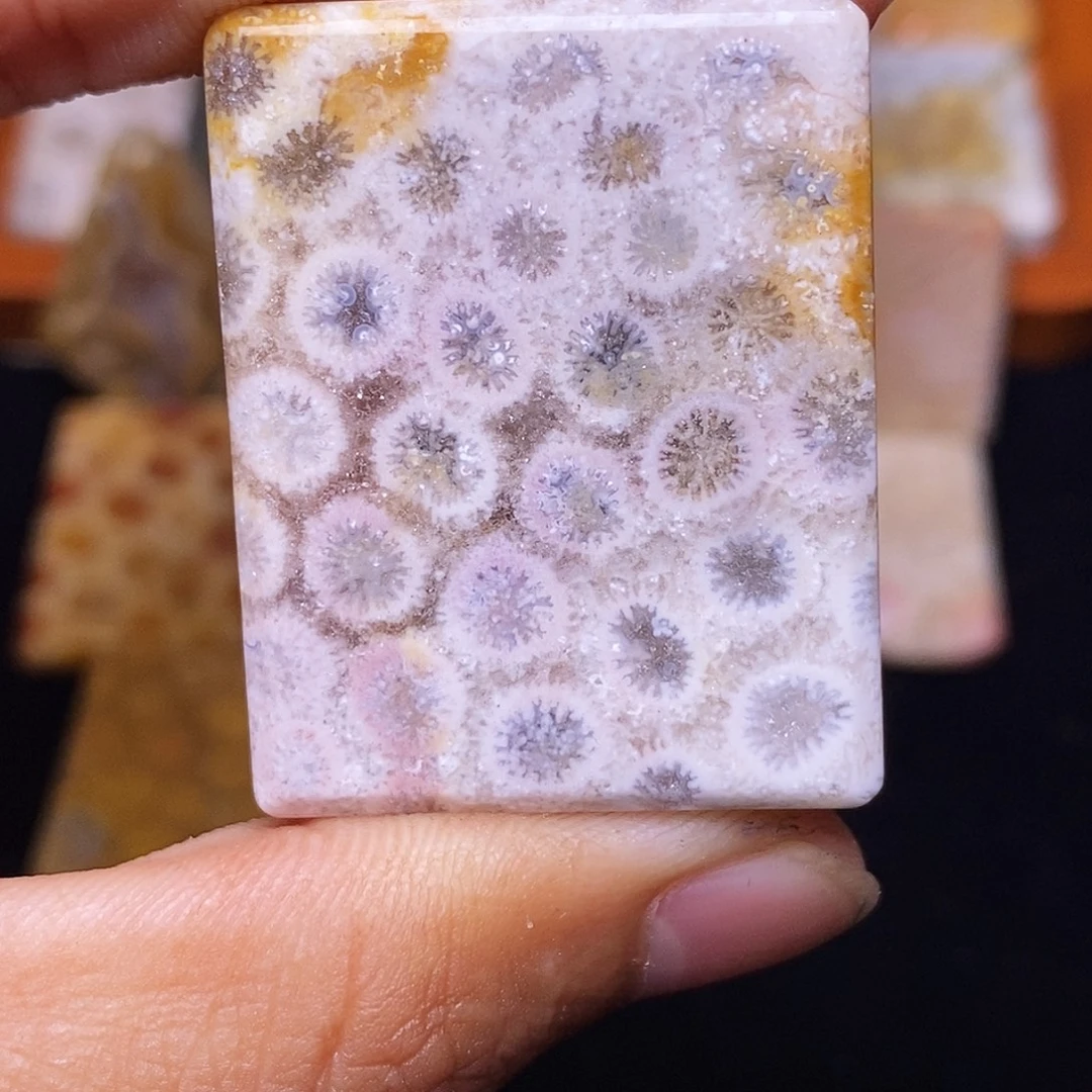 小***窝硅化玉合金珊瑚玉